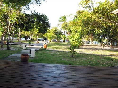 Outdoor Pictures 13