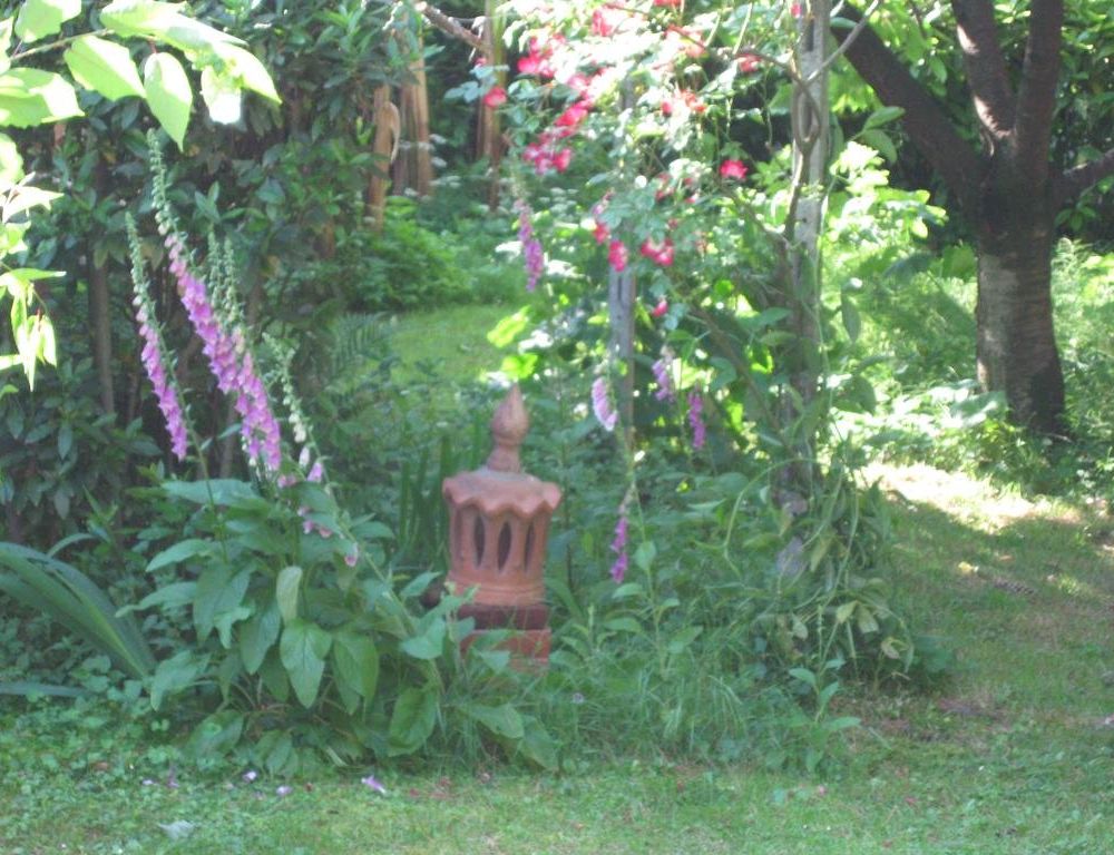 Outdoor Pictures 17
