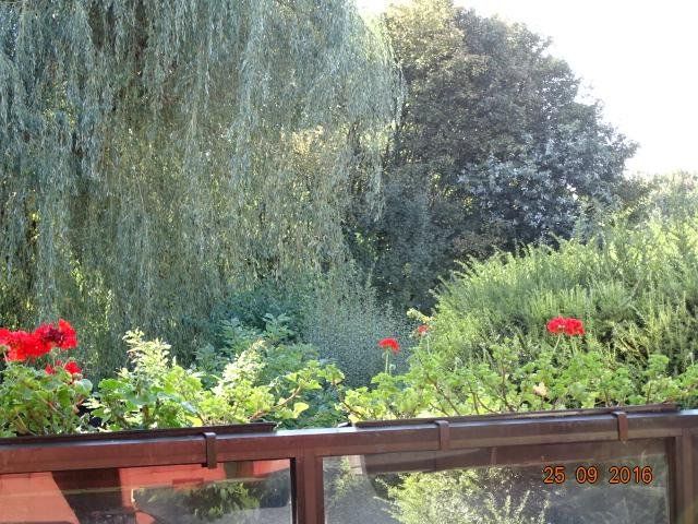 Outdoor Pictures 18