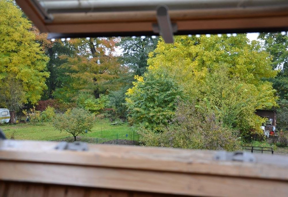Outdoor Pictures 15