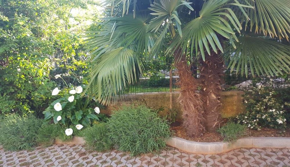Outdoor Pictures 19
