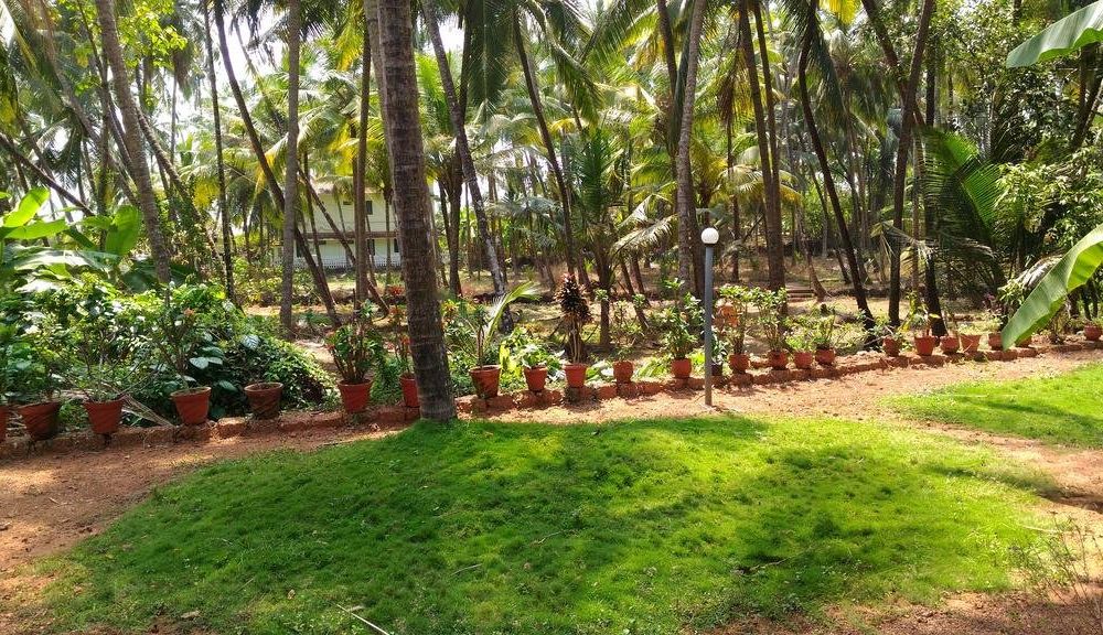 Outdoor Pictures 15
