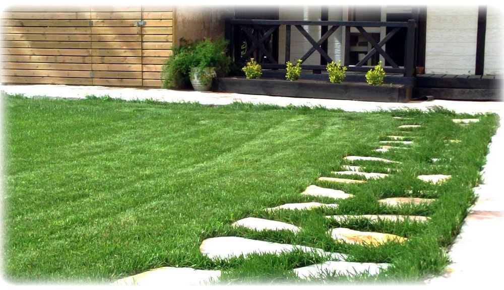 Outdoor Pictures 19
