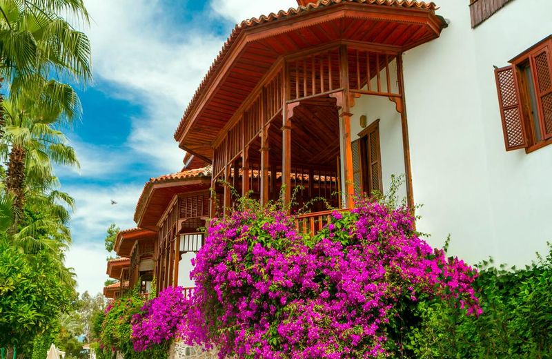 Club & Hotel Letoonia