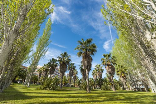 Outdoor Pictures 20