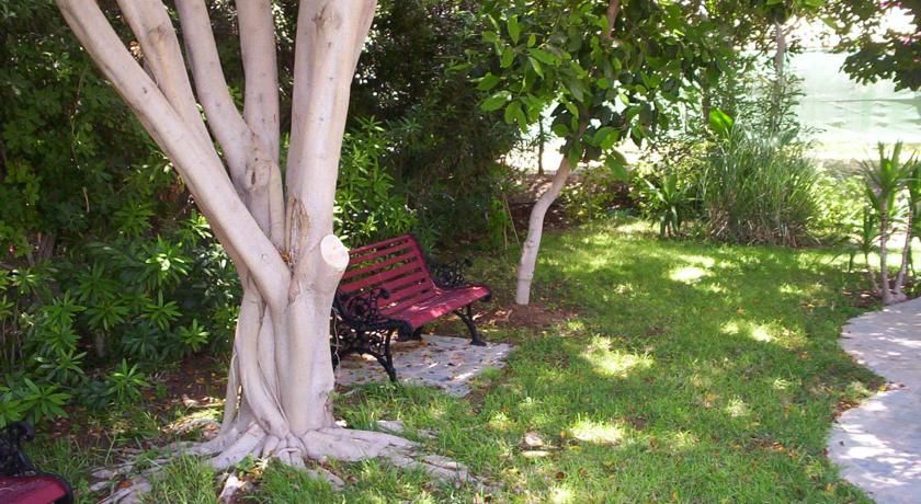 Outdoor Pictures 19