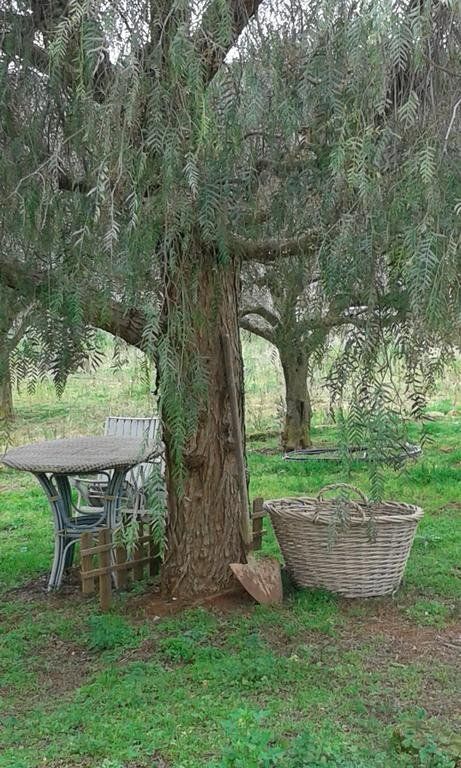 Outdoor Pictures 9