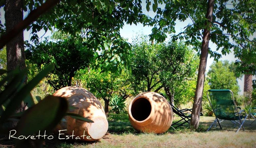 Outdoor Pictures 12