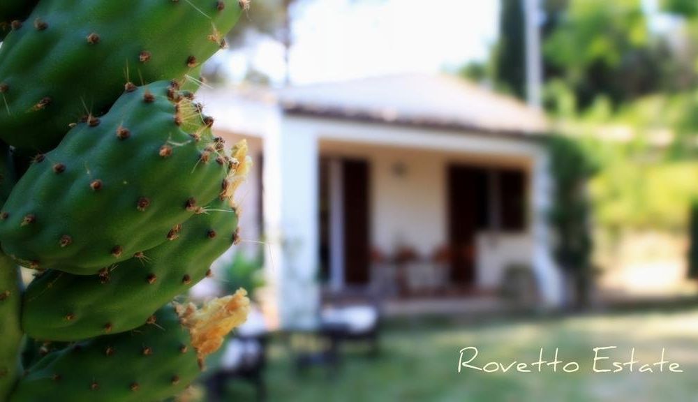 Outdoor Pictures 15