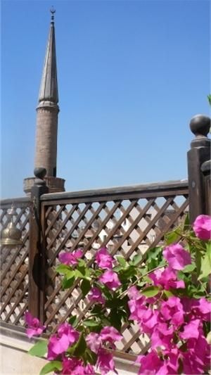 Outdoor Pictures 21
