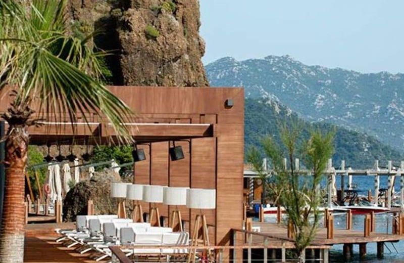 D Maris Bay