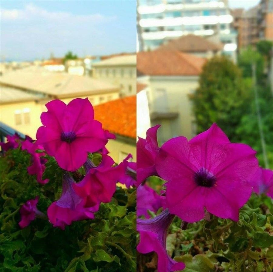 Outdoor Pictures 3