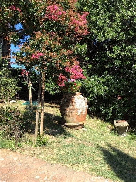 Outdoor Pictures 17