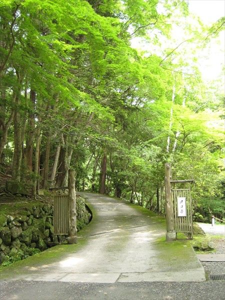 Outdoor Pictures 21