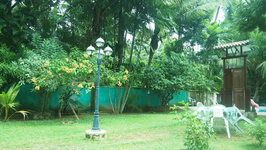 Outdoor Pictures 20