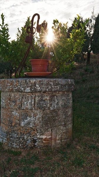 Outdoor Pictures 16