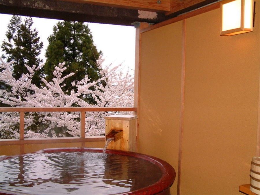 Outdoor Pictures 8