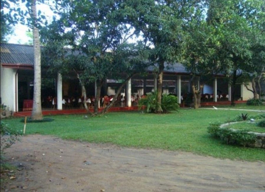 Outdoor Pictures 3