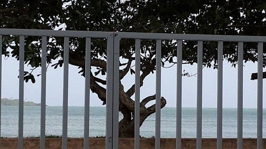 Outdoor Pictures 14