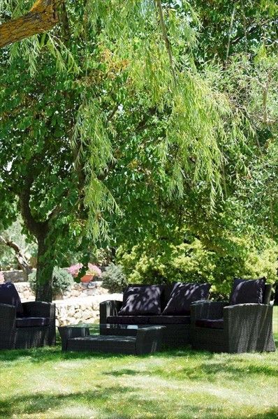 Outdoor Pictures 21