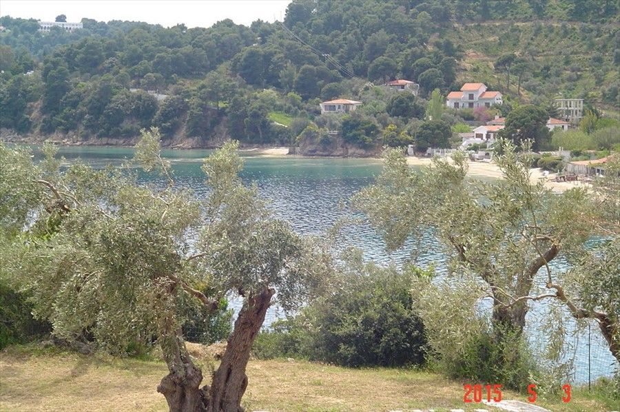 Outdoor Pictures 11