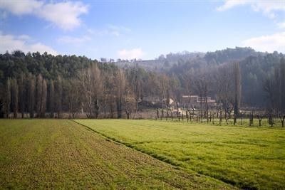 Outdoor Pictures 8