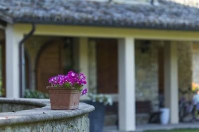 Outdoor Pictures 7