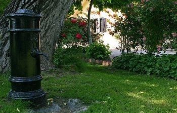 Outdoor Pictures 6