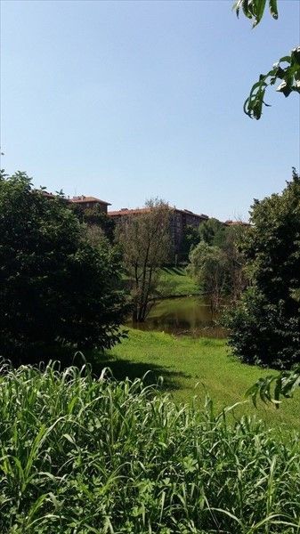 Outdoor Pictures 24