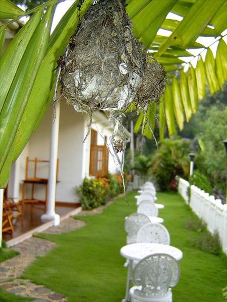 Outdoor Pictures 9