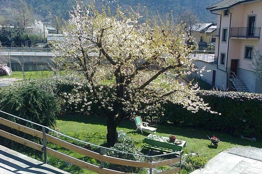 Outdoor Pictures 1