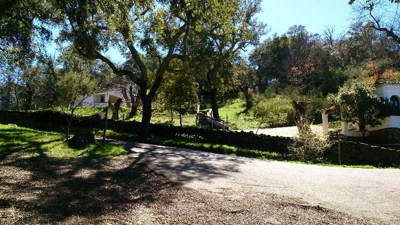 Outdoor Pictures 19