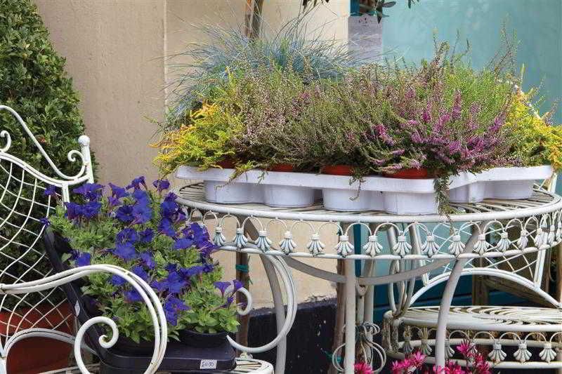 Outdoor Pictures 20