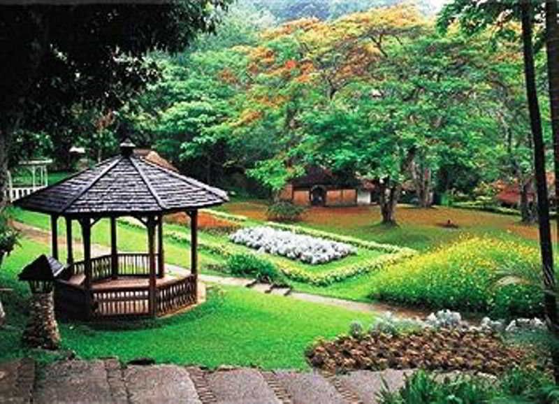 Outdoor Pictures 23