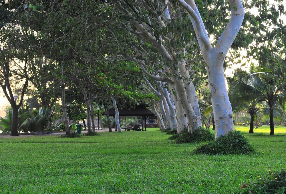 Outdoor Pictures 22