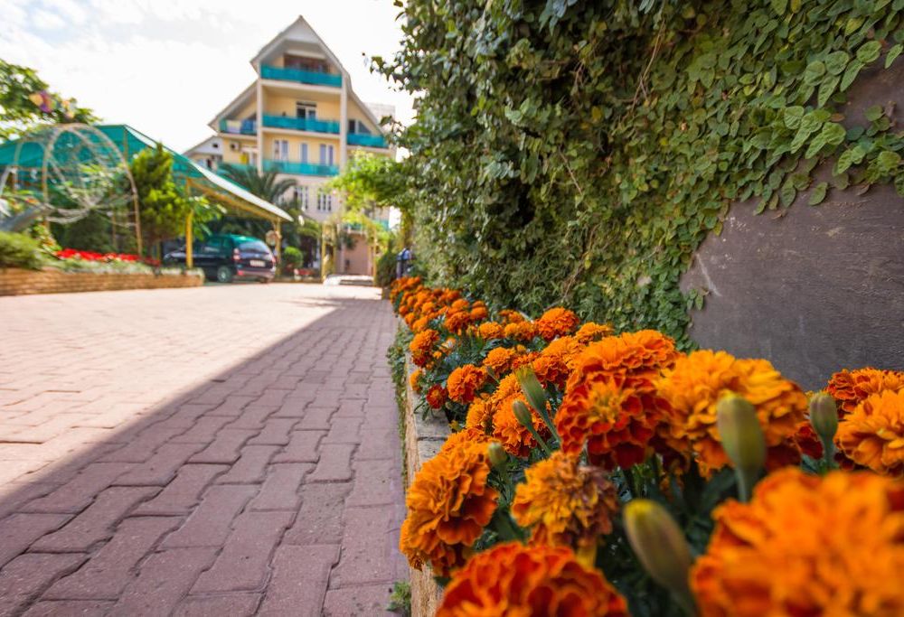 Outdoor Pictures 24