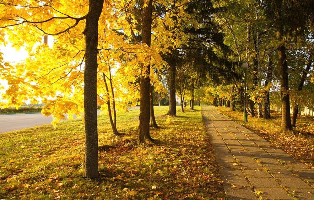 Outdoor Pictures 16