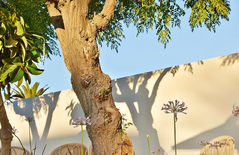 Caramel Grecotel Boutique Resort