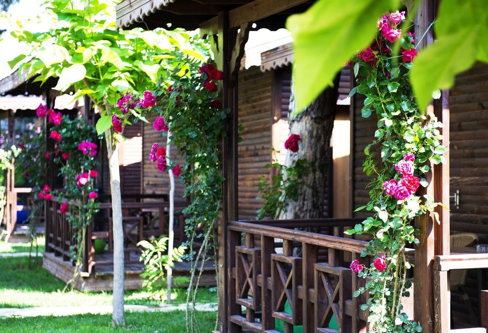 Outdoor Pictures 23