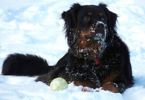Outdoor Pictures 20