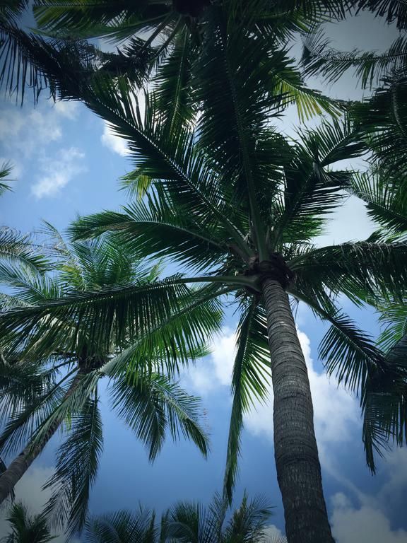Outdoor Pictures 19