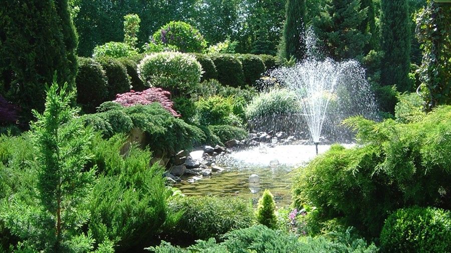 Outdoor Pictures 22