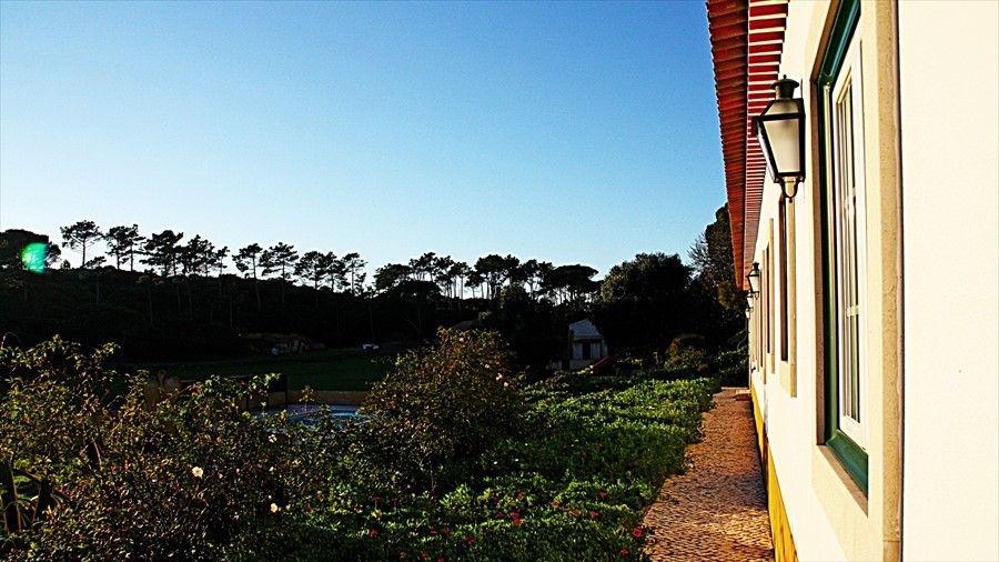 Outdoor Pictures 1