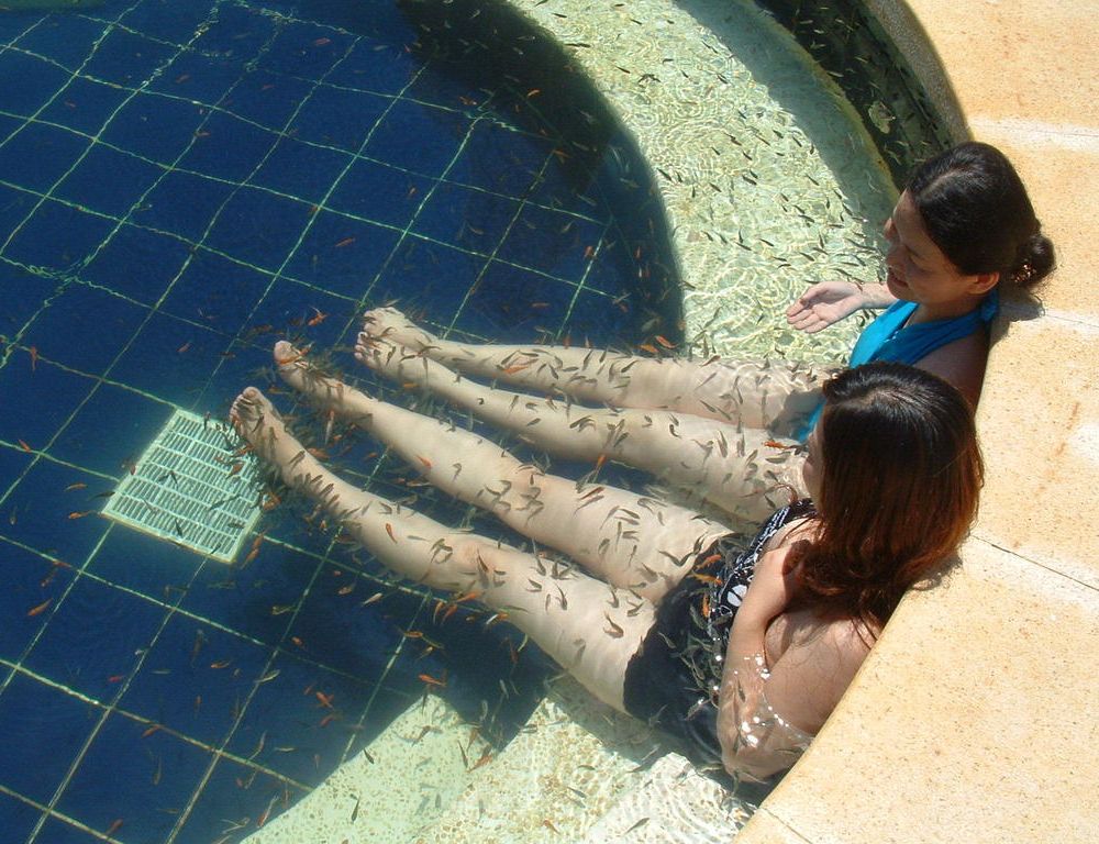 Outdoor Pictures 18
