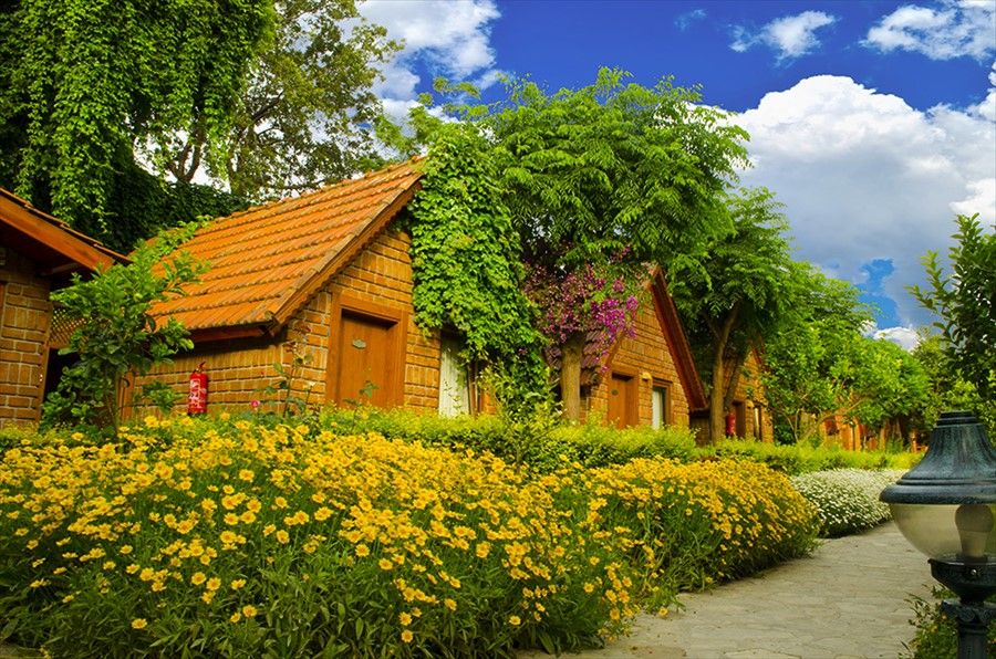 Outdoor Pictures 24