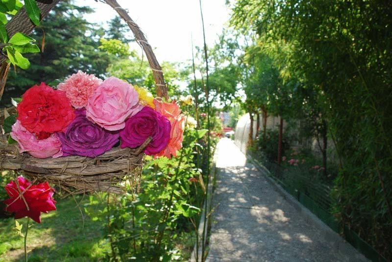 Outdoor Pictures 17