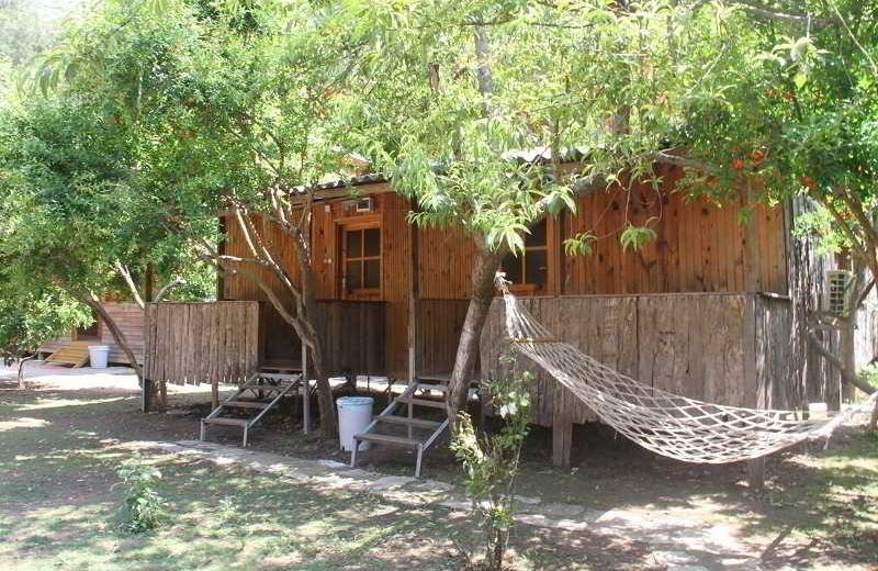 Turkmen Tree Houses