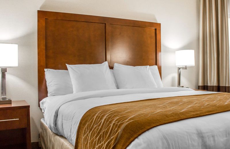 Comfort Inn Syosset-Long Island