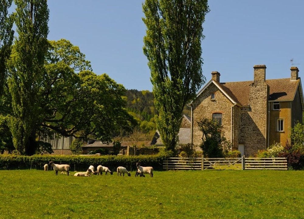 Ty-cooke Farm