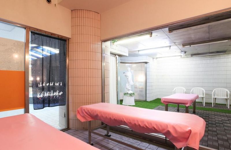 Capsule Inn Kamata